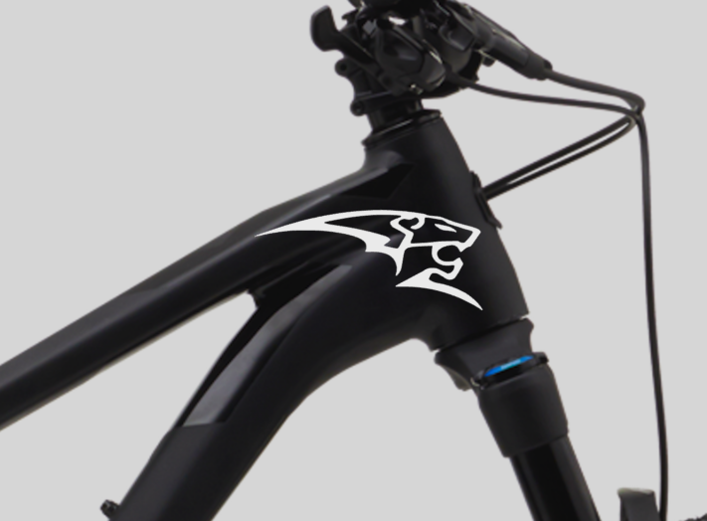 LION LÖWE Fahrrad MTB Aufkleber Sticker 2 Stk.