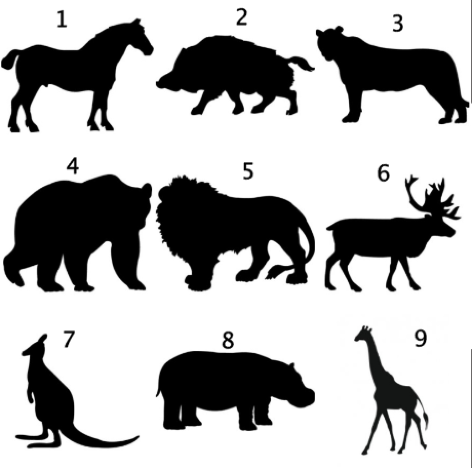 Wildtiere Tiere Pferd Tiger Löwe Wildschwein Auto Styling Aufkleber Sticker